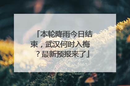本轮降雨今日结束，武汉何时入梅？最新预报来了