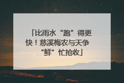 比雨水“跑”得更快！慈溪梅农与天争“鲜”忙抢收
