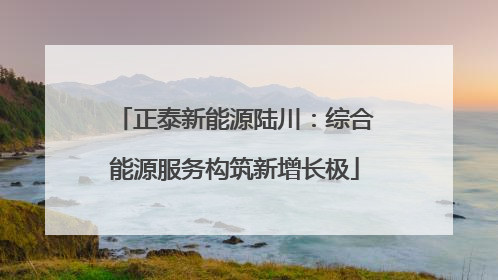正泰新能源陆川：综合能源服务构筑新增长极