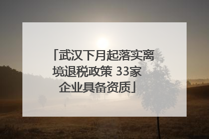 武汉下月起落实离境退税政策 33家企业具备资质
