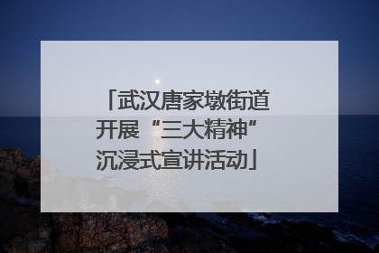武汉唐家墩街道开展“三大精神”沉浸式宣讲活动