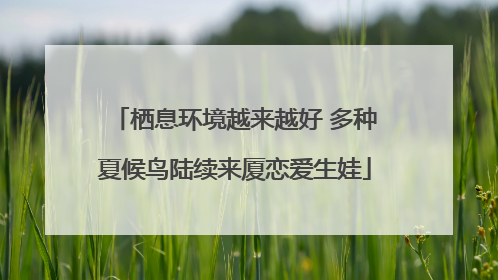 栖息环境越来越好 多种夏候鸟陆续来厦恋爱生娃