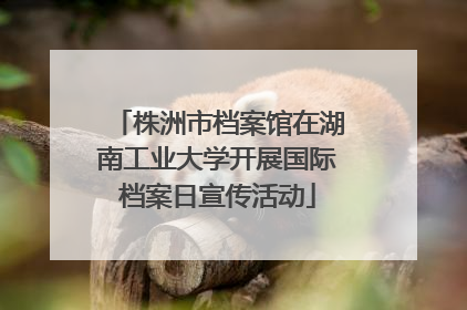 株洲市档案馆在湖南工业大学开展国际档案日宣传活动