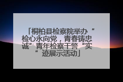 桐柏县检察院举办“检心永向党，青春铸忠诚”青年检察干警“实”迹展示活动