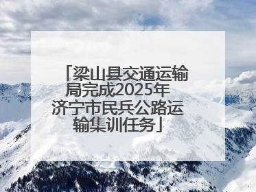 梁山县交通运输局完成2025年济宁市民兵公路运输集训任务
