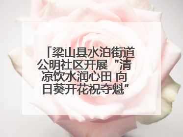 梁山县水泊街道公明社区开展“清凉饮水润心田 向日葵开花祝夺魁”助考活动