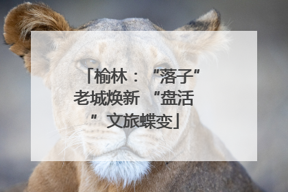 榆林：“落子”老城焕新 “盘活”文旅蝶变