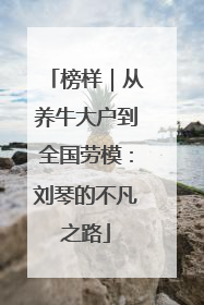 榜样｜从养牛大户到全国劳模：刘琴的不凡之路