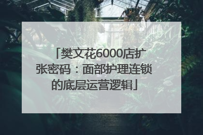 樊文花6000店扩张密码：面部护理连锁的底层运营逻辑