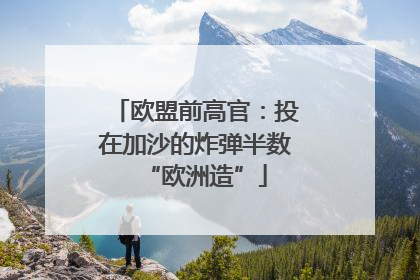 欧盟前高官：投在加沙的炸弹半数“欧洲造”