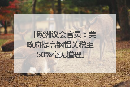 欧洲议会官员：美政府提高钢铝关税至50%毫无道理
