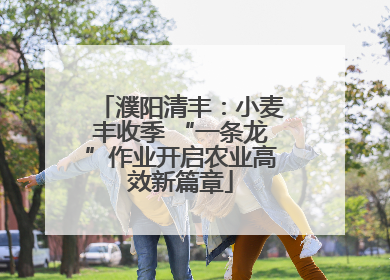 濮阳清丰：小麦丰收季 “一条龙”作业开启农业高效新篇章