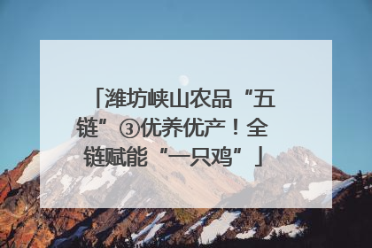 潍坊峡山农品“五链”③优养优产！全链赋能“一只鸡”