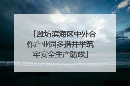 潍坊滨海区中外合作产业园多措并举筑牢安全生产防线