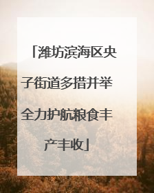 潍坊滨海区央子街道多措并举全力护航粮食丰产丰收