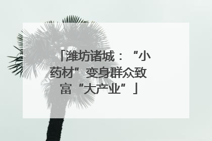 潍坊诸城：“小药材”变身群众致富“大产业”