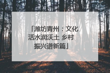 潍坊青州：文化活水润沃土 乡村振兴谱新篇