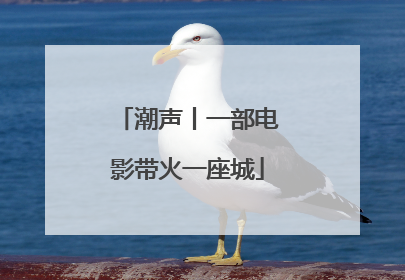 潮声丨一部电影带火一座城