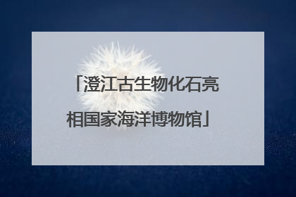 澄江古生物化石亮相国家海洋博物馆