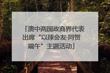 澳中两国政商界代表出席“以球会友·同贺端午”主题活动