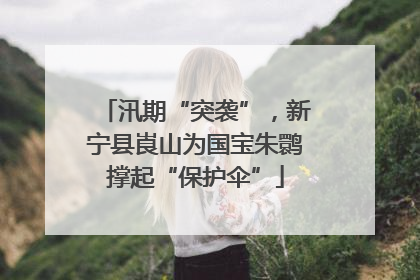汛期“突袭”，新宁县崀山为国宝朱鹮撑起“保护伞”