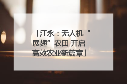 江永：无人机“展翅”农田 开启高效农业新篇章