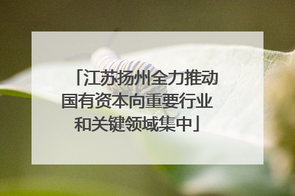 江苏扬州全力推动国有资本向重要行业和关键领域集中