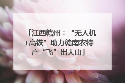 江西赣州：“无人机+高铁”助力赣南农特产“飞”出大山
