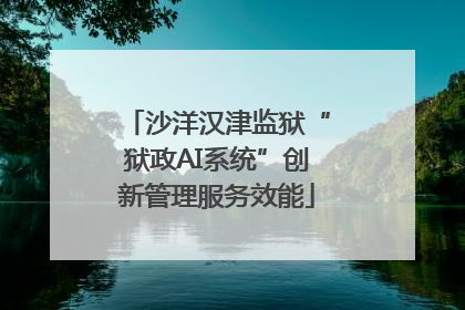 沙洋汉津监狱“狱政AI系统”创新管理服务效能