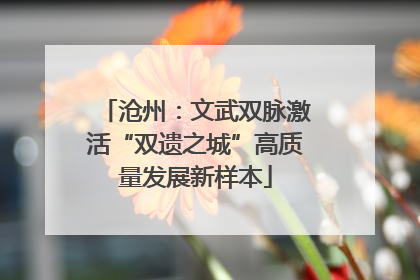 沧州：文武双脉激活“双遗之城”高质量发展新样本