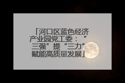 河口区蓝色经济产业园党工委：“三强”提“三力”赋能高质量发展