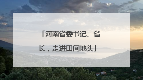 河南省委书记、省长，走进田间地头