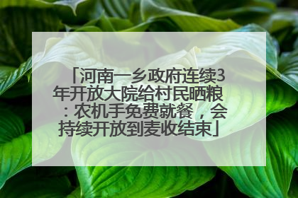 河南一乡政府连续3年开放大院给村民晒粮：农机手免费就餐，会持续开放到麦收结束