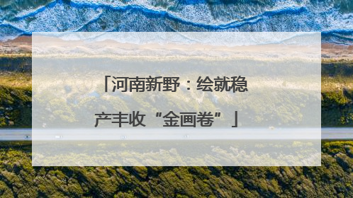 河南新野：绘就稳产丰收“金画卷”