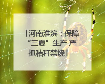 河南淮滨：保障“三夏”生产 严抓秸秆禁烧