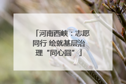河南西峡：志愿同行 绘就基层治理“同心圆”