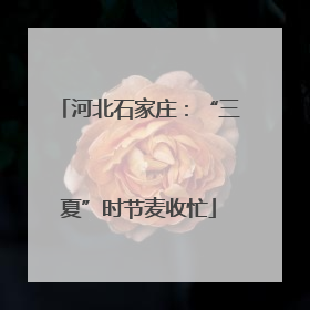 河北石家庄：“三夏”时节麦收忙