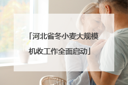 河北省冬小麦大规模机收工作全面启动