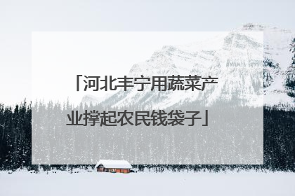 河北丰宁用蔬菜产业撑起农民钱袋子