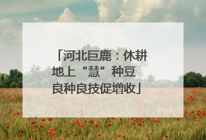 河北巨鹿：休耕地上“慧”种豆 良种良技促增收