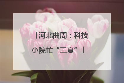 河北曲周：科技小院忙“三夏”