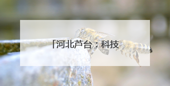 河北芦台：科技赋能高质量发展