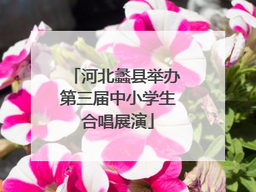 河北蠡县举办第三届中小学生合唱展演