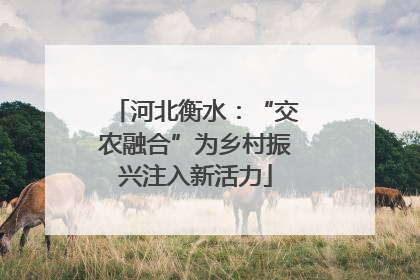 河北衡水：“交农融合”为乡村振兴注入新活力