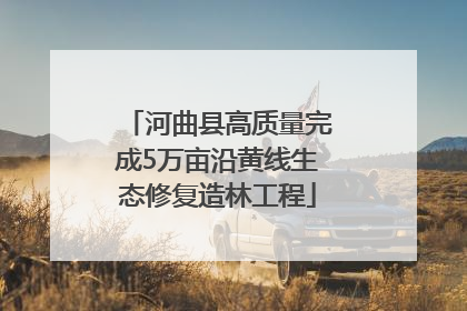 河曲县高质量完成5万亩沿黄线生态修复造林工程