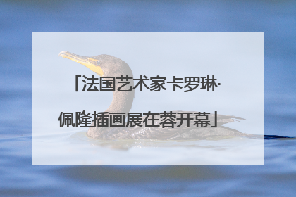 法国艺术家卡罗琳·佩隆插画展在蓉开幕