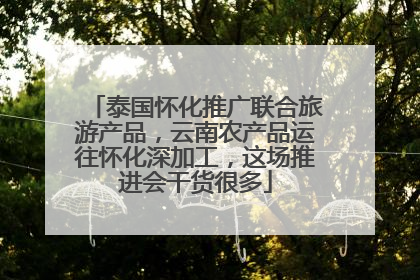 泰国怀化推广联合旅游产品，云南农产品运往怀化深加工，这场推进会干货很多