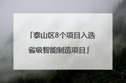 泰山区8个项目入选省级智能制造项目