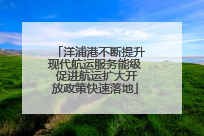 洋浦港不断提升现代航运服务能级 促进航运扩大开放政策快速落地