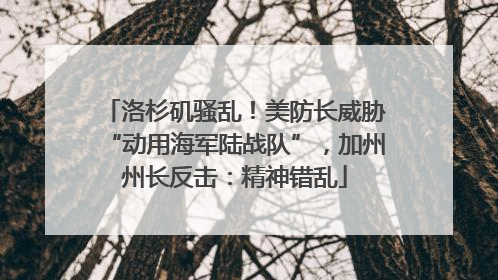 洛杉矶骚乱！美防长威胁“动用海军陆战队”，加州州长反击：精神错乱